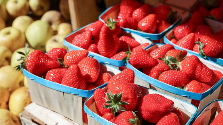 farmers-market-image